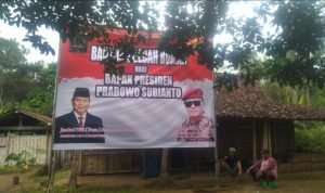 d4424314-7cb0-4d99-a955-4c4c43da1e5f