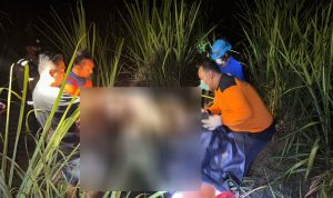 1f078062-a4be-4144-8062-554099e73db9