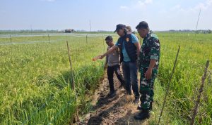 4ce9da4f-79a4-43ab-adbf-3126a4d16a01