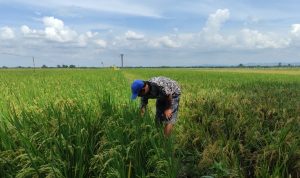 bdd5e39a-1d83-44f8-abad-81747de1d563