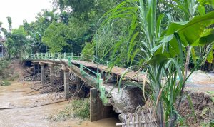 fecc0988-5be0-47cf-918b-67a269d1ef30